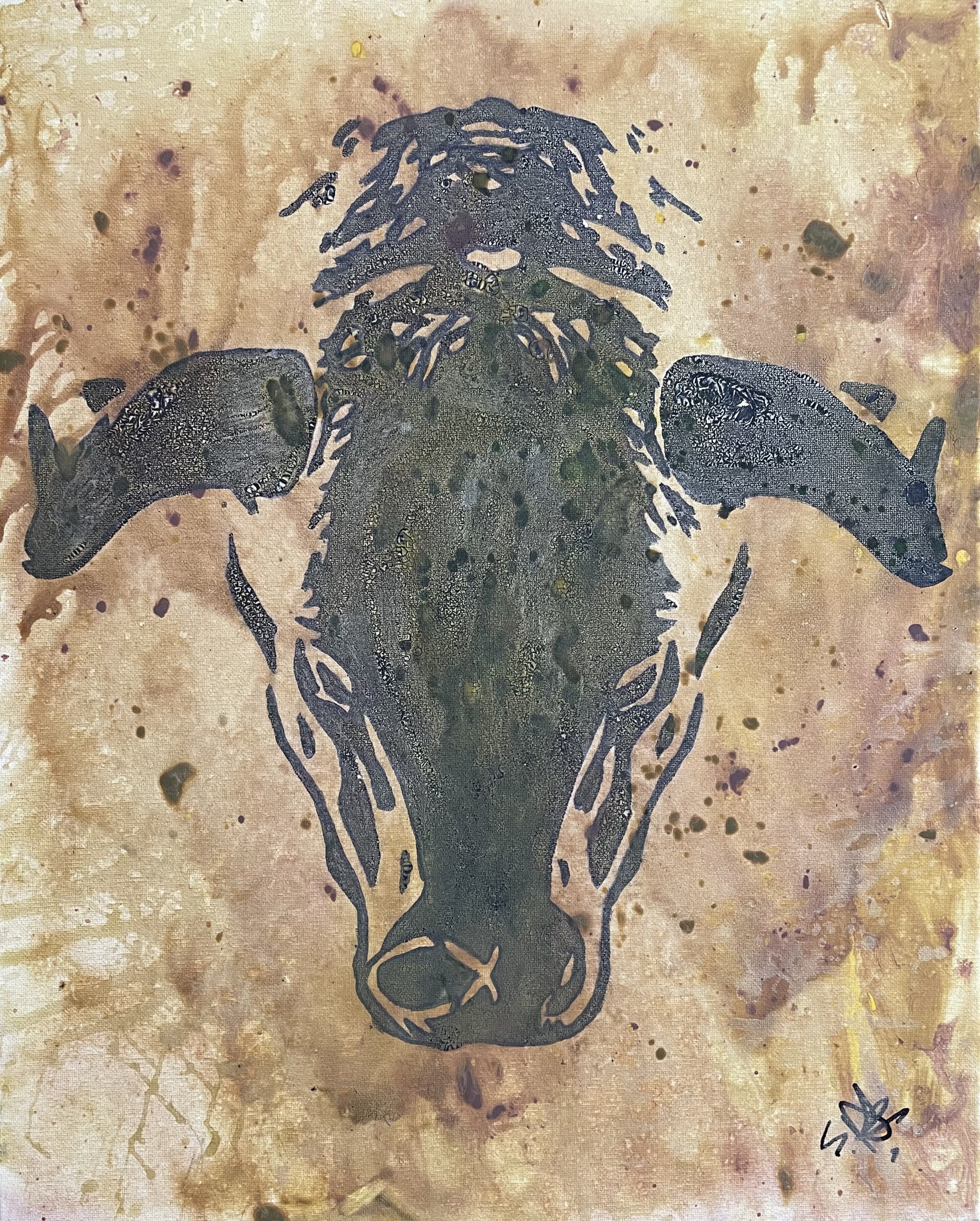 Ox